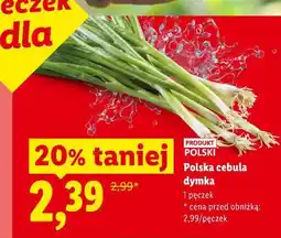 Lidl Polska cebula dymka oferta