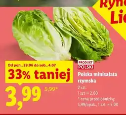 Lidl Polska minisałata rzymska oferta