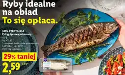 Lidl TARG RYBNY LIDLA Pstrąg tęczowy patroszony oferta