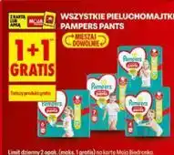 Biedronka Pieluchomajtki Pampers Pants oferta