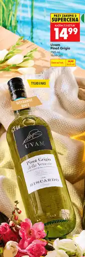Biedronka Uvam Pinot Grigio oferta