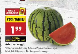 Biedronka Arbuz na wagę oferta