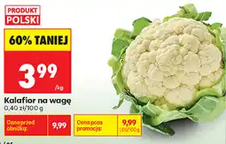 Biedronka Kalafior na wagę oferta