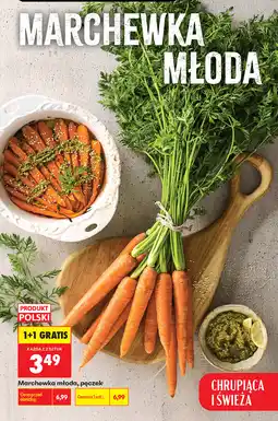 Biedronka Marchewka młoda, pęczek oferta