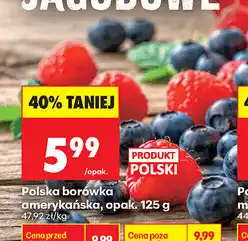 Biedronka Polska borówka amerykańska oferta