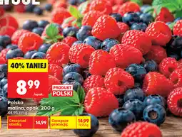 Biedronka Polska malina oferta