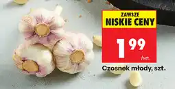 Biedronka Czosnek młody oferta