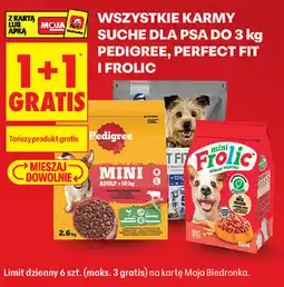 Biedronka WSZYSTKIE KARMY SUCHE DLA PSA DO 3 kg PEDIGREE, PERFECT FIT I FROLIC oferta