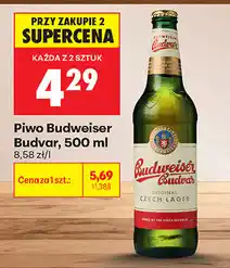 Biedronka Piwo Budweiser Budvar oferta