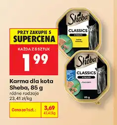 Biedronka Karma dla kota Sheba oferta