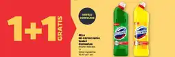 Netto Płyn do czyszczenia toalet Domestos oferta