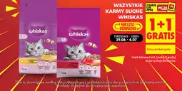 Biedronka Wszystkie karmy suche Whiskas oferta