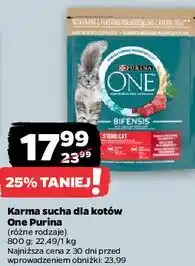 Netto Karma sucha dla kotów One Purina oferta
