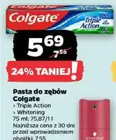 Netto Pasta do zębów Colgate oferta