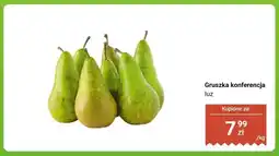 Biedronka Gruszka konferencja luz oferta