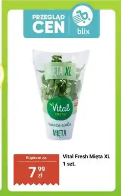 Biedronka Mięta Vital Fresh XL oferta