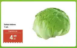 Biedronka Sałata lodowa oferta