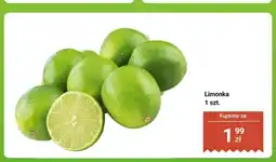Biedronka Limonka oferta