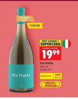 Biedronka Wino wytrawne białe Via Italia oferta