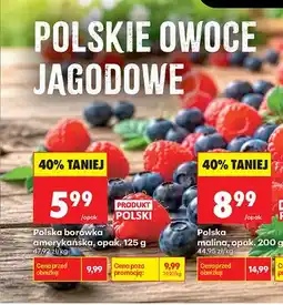 Biedronka Borówka amerykańska polska oferta