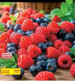 Biedronka Malina polska oferta