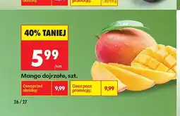 Biedronka Mango dojrzałe oferta