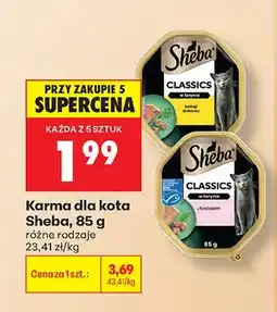 Biedronka Karma dla kota Sheba Classics w terynie z drobiem oferta