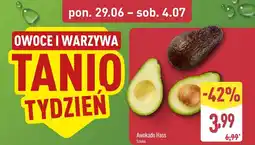 ALDI Awokado Hass oferta