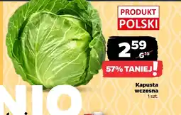 Netto Kapusta Polski oferta