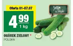 Spar Ogórek zielony oferta