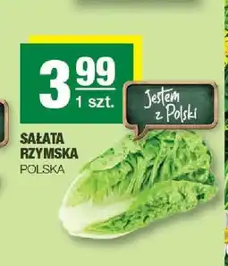 Spar Sałata rzymska oferta