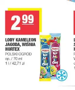 Spar Lody wodne Kameleon wiśnia Hortex oferta