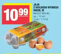 Spar Jaja z wolnego wybiegu rozm. M Invest Michel oferta
