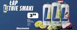 Netto Piwo Lech oferta