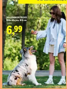 Lidl Piłka dla psa Jollypaw by Trixie oferta