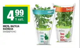 Spar Mięta Baziółka Swedeponic oferta