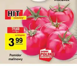 Gram Market Pomidor malinowy oferta