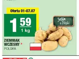 Spar Ziemniak wczesny oferta