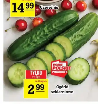 Gram Market Ogórki szklarniowe oferta