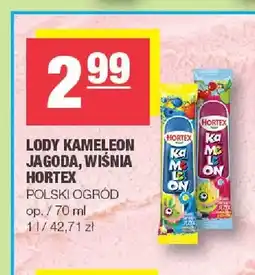 Spar Lody Kameleon jagoda Hortex oferta