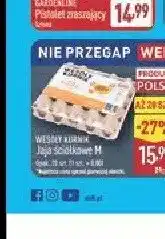 ALDI Jaja ściółkowe M oferta