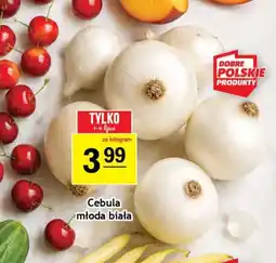 Gram Market Cebula młoda biała oferta