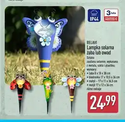 ALDI Lampka solarna żaba Belavi oferta