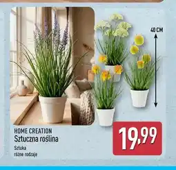 ALDI Sztuczna roślina Home Creation oferta