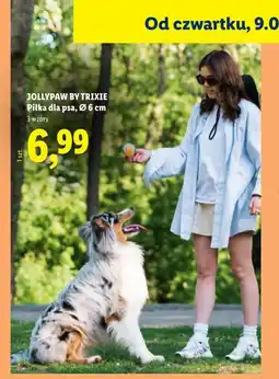 Lidl JOLLYPAW BY TRIXIE Piłka dla psa oferta