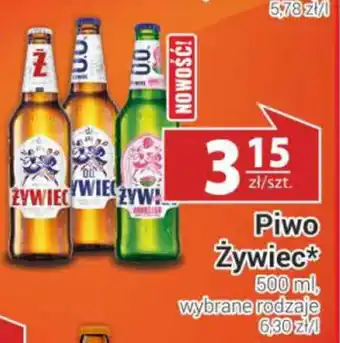 Nasz Sklep Piwo Żywiec oferta