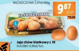 Jubilat Jaja chów klatkowy l 10 eggsbo oferta