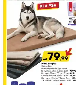 Bricomarche Mata dla psa Golden Dog oferta