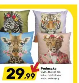 Bricomarche Poduszka oferta