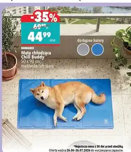 Biedronka Mata chłodząca Domarex oferta